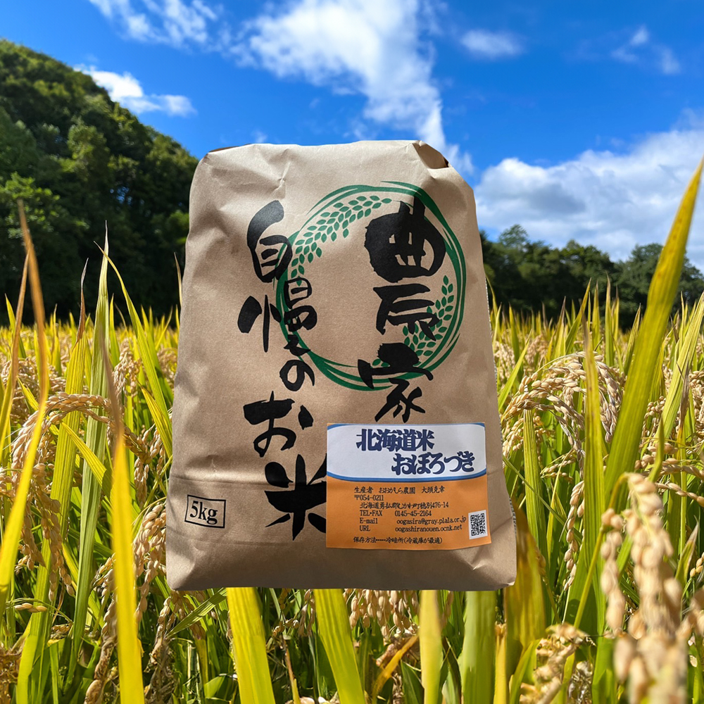 おぼろづき　5kg×2袋 Amazon.co.jp: おぼろづき 無洗米 5kg 【令和6年度産】【五つ星
