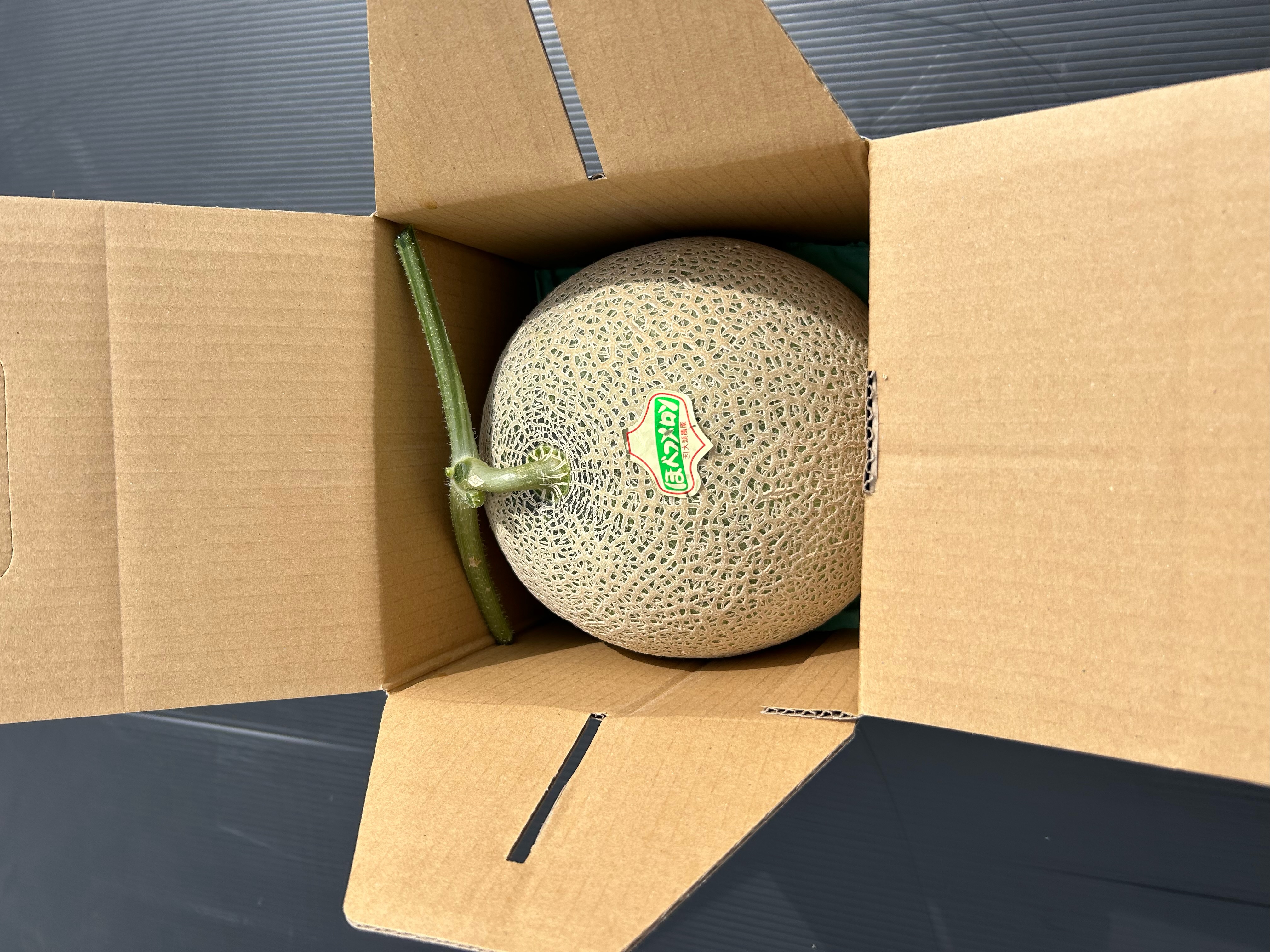 メロン 1玉（大玉） | 大頭農園