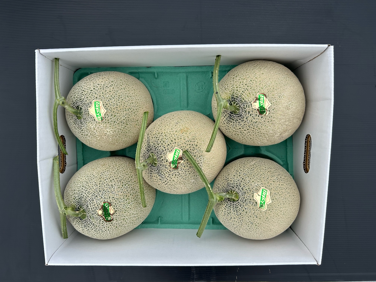 野菜園芸大百科 (4) 第2版　メロン 野菜園芸大百科 (4) 第2版 メロン - メルカリ