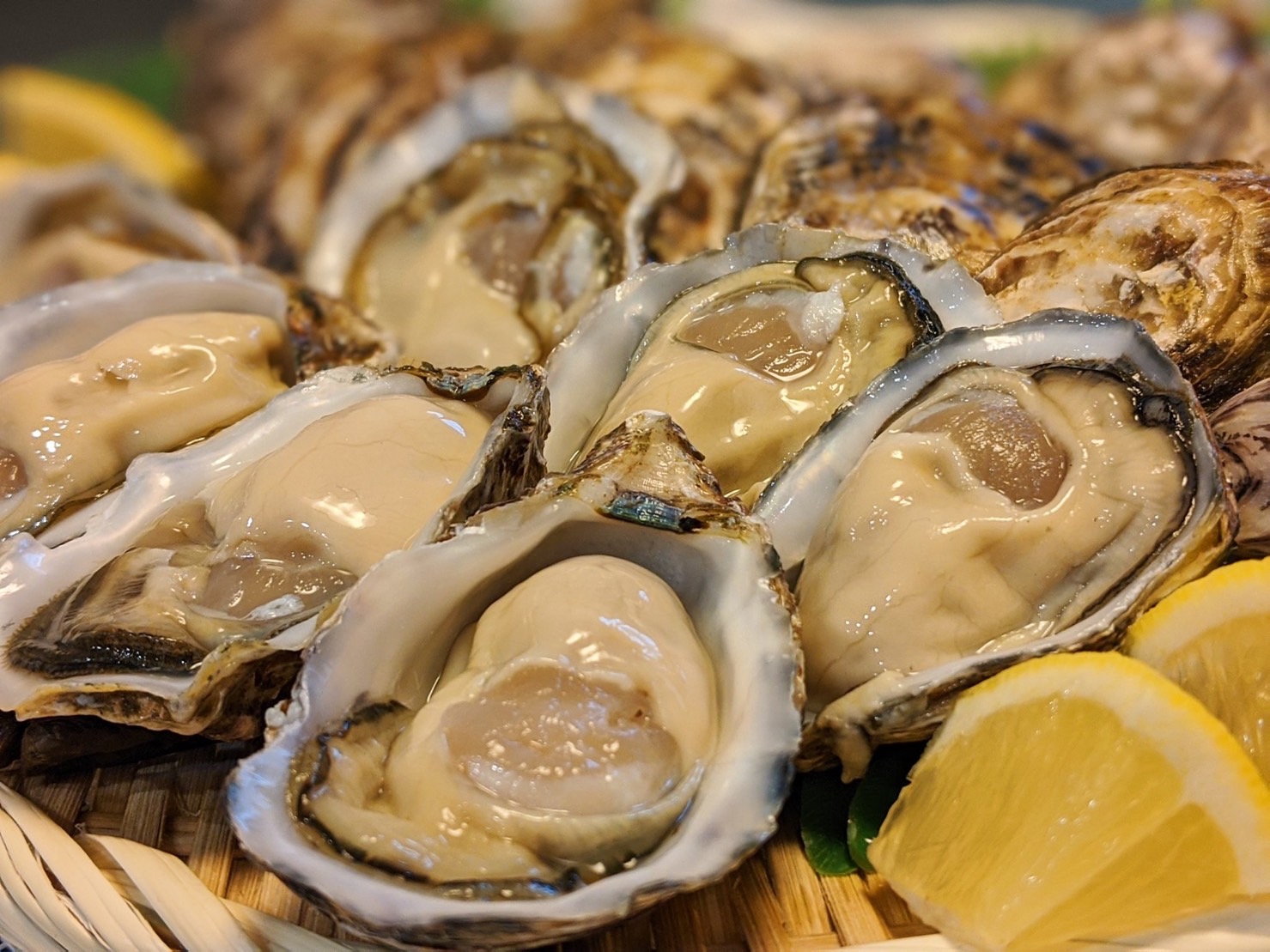 新富津漁業協同組合江戸前オイスター