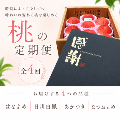 桃の定期便【送料無料】全4回 各約2kg (7～9玉) はなよめ 日川白凰 あかつき なつおとめ