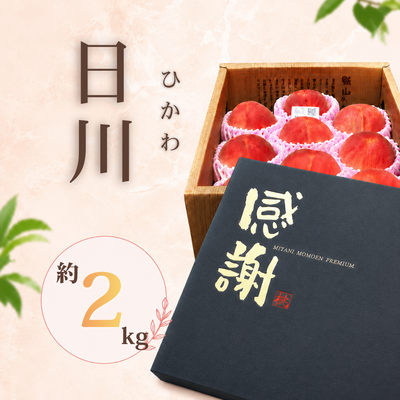 日川 ＜6月中～下旬＞贈答用2kg（5～7個）