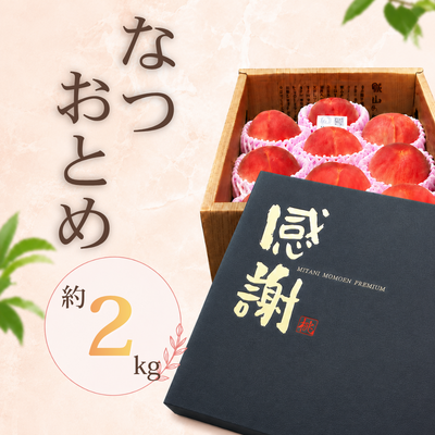 なつおとめ【大玉】＜7月中～下旬＞贈答用2kg（5～7個）