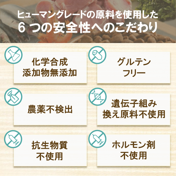 ボナシーボ Bonacibo 成犬用 缶詰 サーモン 400g【マルシェデパディ