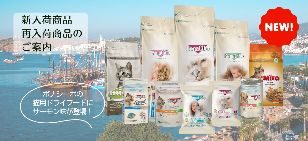 新入荷＆再入荷商品のご案内