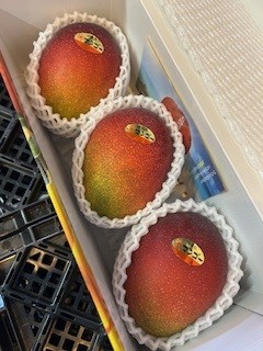 豊見城産アップルマンゴー　3玉～4玉入り　化粧箱　秀品　高糖度　