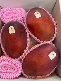 沖縄県糸満市コーラルファーム　特大玉3玉入り化粧箱　2kg以上！2025年マンゴーコンテスト最優秀賞沖縄県知事賞を受賞‼　色や形、そしてもちろん味もすべてが最高級☆大切な方への贈り物にいかがですか？