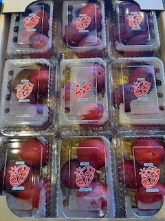 豊見城産アップルマンゴー家庭用パックマンゴー　9パック入り　20%OFF!!  15800円→12640円　甘くて美味しいマンゴー3玉入りが9パック！家族やお友達とシェアするもよし！お買い得ですよ‼