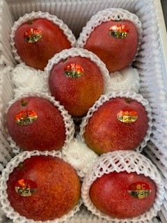 今帰仁産アップルマンゴー　7玉入り2kg化粧箱　甘い！安い！