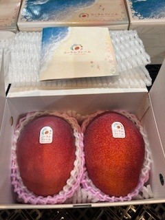 沖縄県糸満市コーラルファーム　特大玉2玉入り1ｋｇ以上化粧箱　2025年マンゴーコンテスト最優秀県知事賞受賞しました！　色や形、そしてもちろん味もすべてが最高級☆大切な方への贈り物にいかがですか？