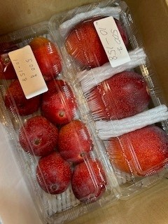 沖縄県豊見城産ミニマンゴー　超～甘い‼　安い‼　1.2キロ　ミニマンゴーは実が小さいですが甘みがギュッと濃縮されて濃厚で甘みが強いのが特徴です。一度食べたら忘れられない美味しさです。