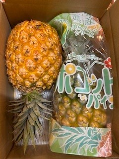 東村産ゴールドバレルとスナックパインのセット　L玉サイズ　超～安い‼　甘～い甘～いパインです！