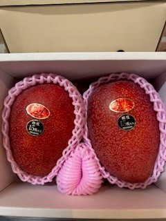 沖縄県産　JAおきなわ　プレミアムマンゴー　2玉　3Lサイズ　1kg以上　JAおきなわが定めた基準を満たしたプレミアムなマンゴー　糖度15度　品位赤秀　サイズ2L以上　高品質で濃厚な甘みが特徴