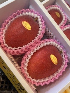沖縄県豊見城　Noha農園直送！　長嶺さんの林檎マンゴー　2玉入り　赤秀品　沖縄県マンゴーコンテストで何度も最優秀県知事賞を受賞している沖縄マンゴー界では知る人ぞ知る有名なベテラン農家さんです。