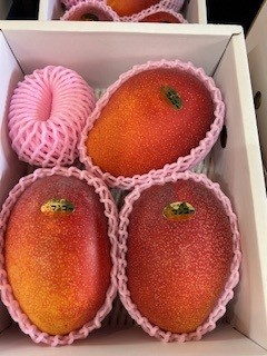 豊見城産アップルマンゴー　赤秀品　高糖度　5L サイズ　超～特大玉　3玉　2.4kg　化粧箱入り