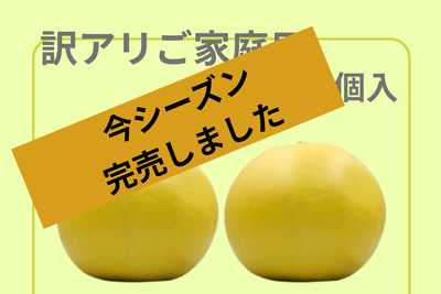 訳アリご家庭用　晩白柚　２個