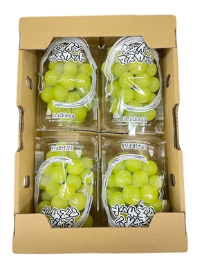 シャインマスカット 1.4kg 350g×4パック | 農産物直売所どろや