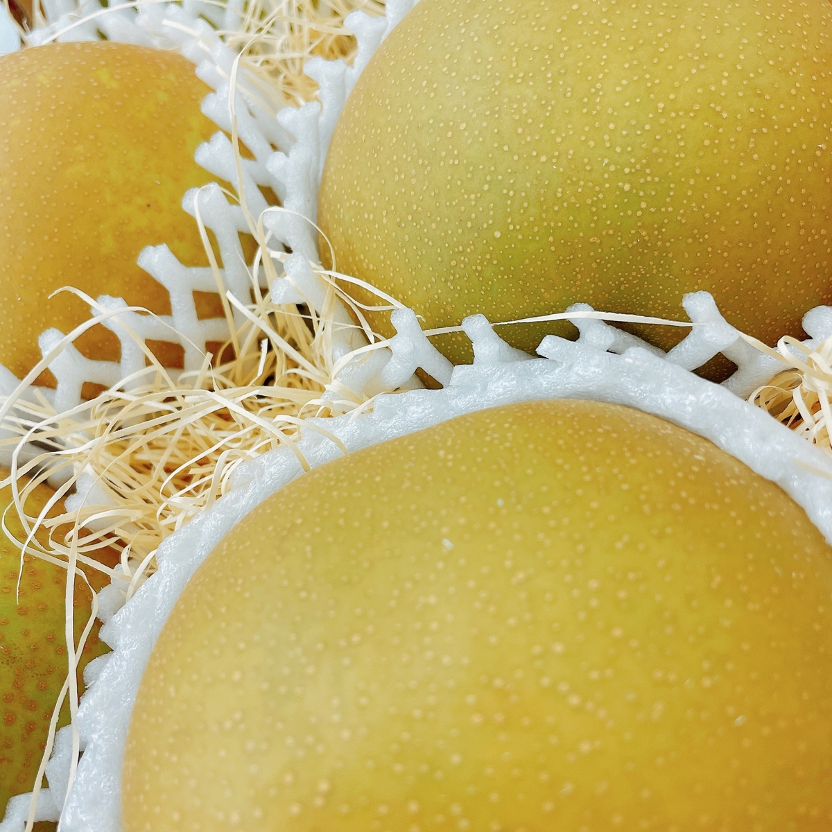 梨の甘味王“甘太” 6玉入りダンボール 【9月17日から発送開始