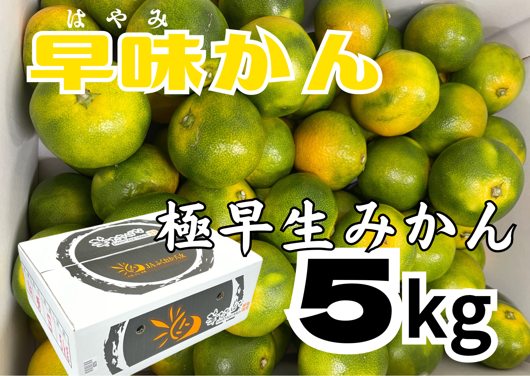 福岡県限定栽培!!極早生みかんの『早味かん』5kg【10月6日より発送】1