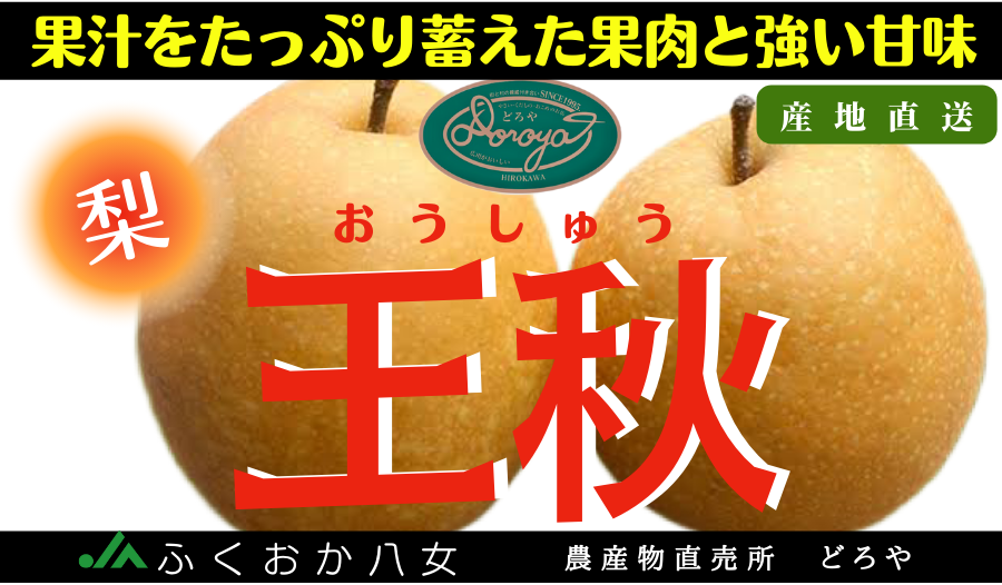 果汁をたっぷり蓄えた果肉と甘みの強い王秋梨☆5kgダンボール(9～12玉