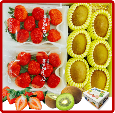 博多あまおう＆博多甘熟娘(うれっこ)　B　【12月1日より順次発送】