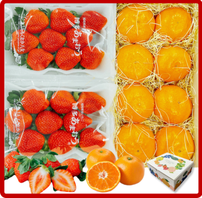 博多あまおう＆華たちばな B　【12月1日より順次発送】