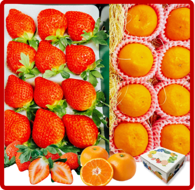 博多あまおう＆華たちばな A　【12月1日より順次発送】