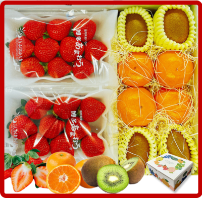 バラエティギフトB 博多あまおう・華たちばなみかん・博多甘熟娘キウイ