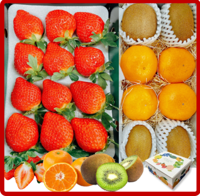 バラエティギフトA  博多あまおう・華たちばなみかん・博多甘熟娘キウイ