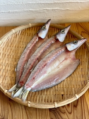カマス塩干し