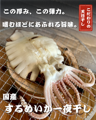国産スルメイカの一夜干し