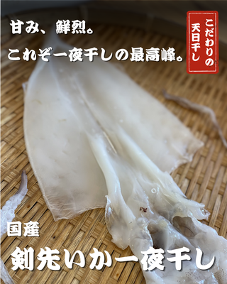剣先イカの一夜干し(皮なし)