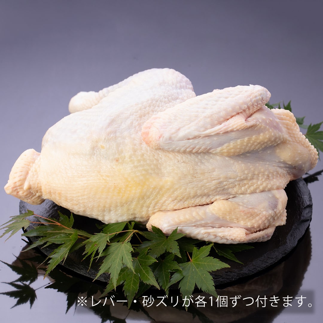 黒さつま鶏 オス丸鶏 【冷蔵発送】 | 真栄ファーム通販SHOP