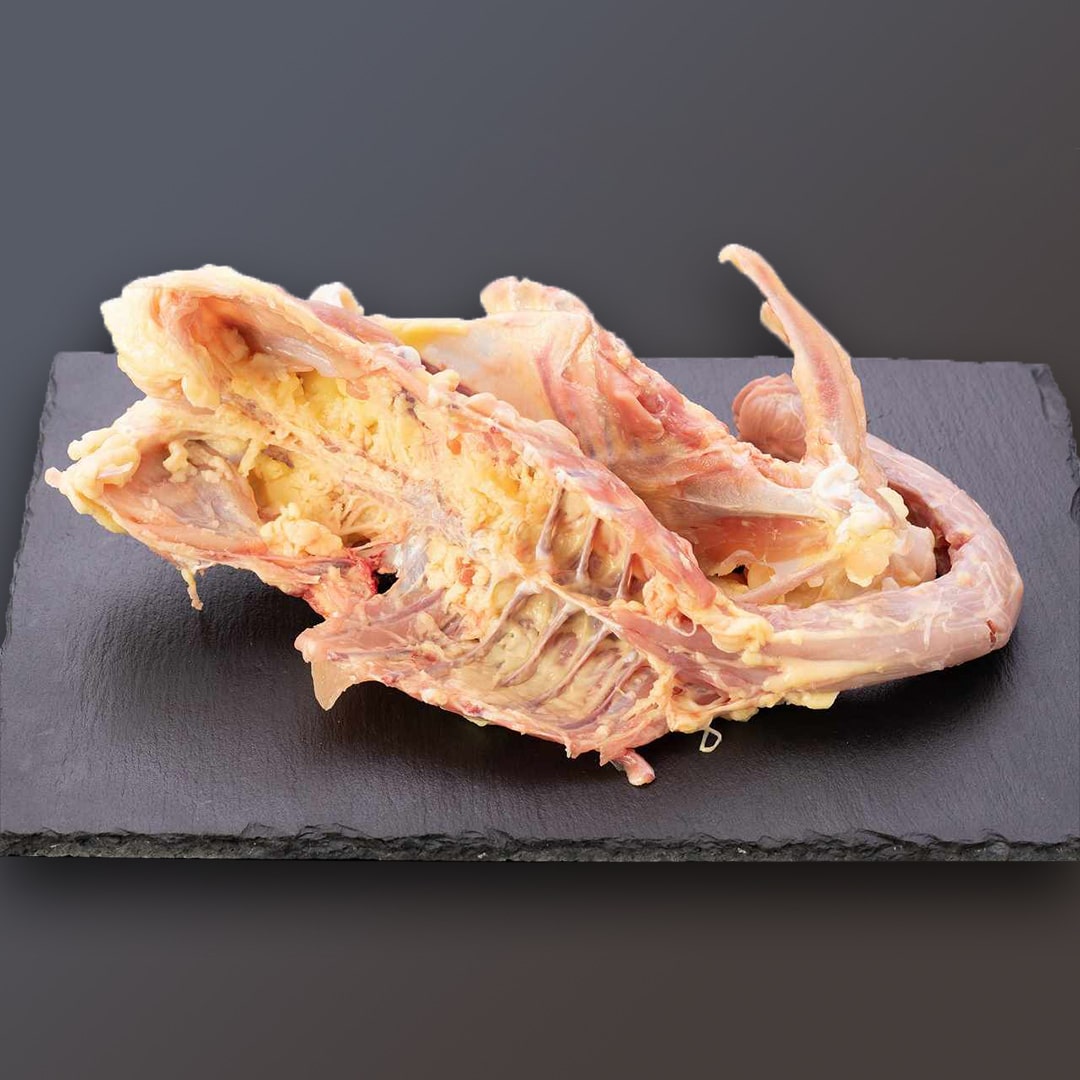 黒さつま鶏 胴ガラ（5kg） | 真栄ファーム通販SHOP