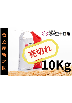 品切れ！令和７年産【１０月発送開始！】　☆魚沼産☆新之助10Kg（5Kgx2袋）