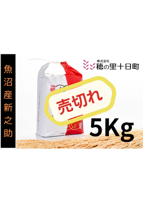 品切れ！令和７年産【１０月発送開始！】　☆魚沼産☆新之助5Kg