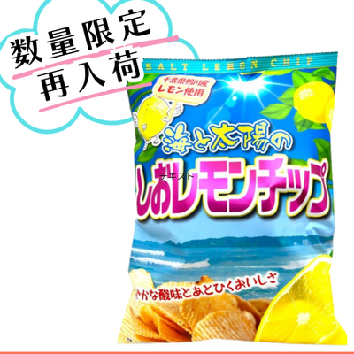 しおレモンチップ 100g  ご当地ポテトチップ 