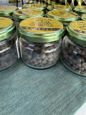 訳あり 生胡椒塩漬「極」10個セット