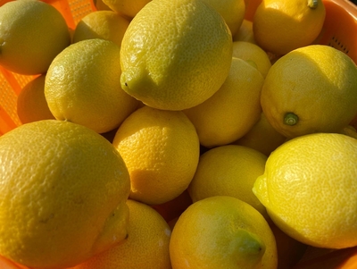 レモン（５キロ）