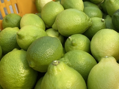 グリーンレモン（5キロ）