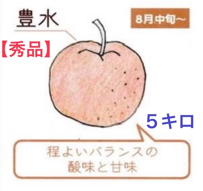 豊水梨５キロ【秀品】