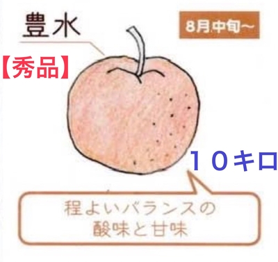 豊水梨１０キロ【秀品】