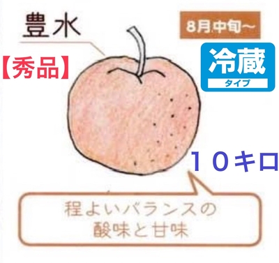 豊水梨１０キロ【秀品】クール便