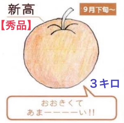 新高梨３キロ【秀品】