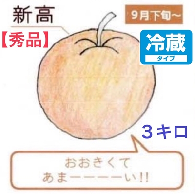 新高梨３キロ【秀品】クール便