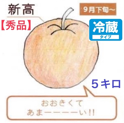 新高梨５キロ【秀品】クール便
