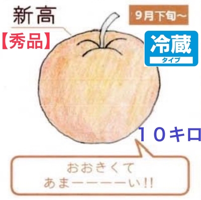 新高梨１０キロ【秀品】クール便