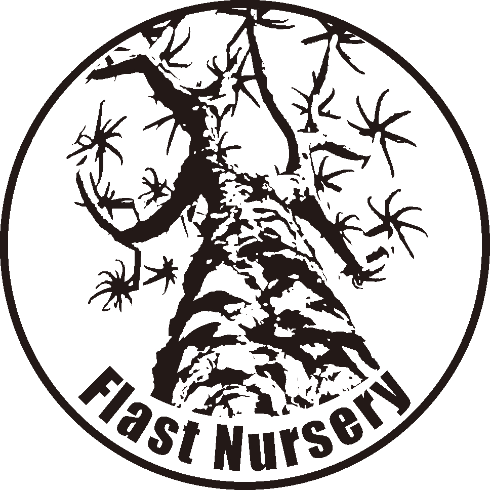 ECサイト始めました