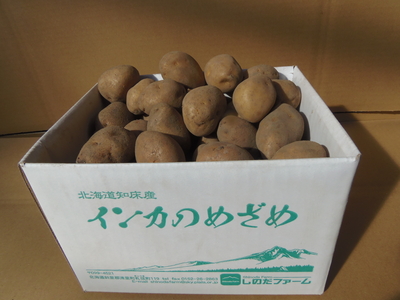 インカのめざめ熟成1年目    Sサイズ2kg箱入り　　２月下旬販売開始