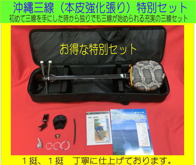 沖縄　エレキ三線（人工皮張り）初心者にもおすすめの初心者セット　新品未使用 三線 初心者 セット！（人工皮張り）超シンプルセット | 三線